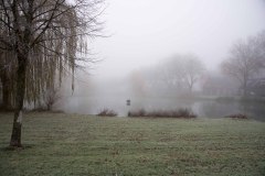 750_2081