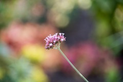 750_0548