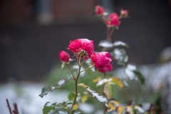 750_9193