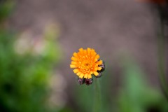 750_0090