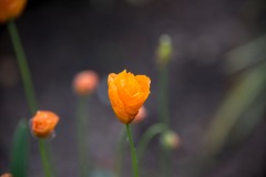 750_5051