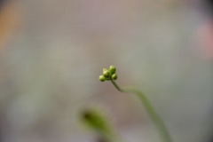 750_2613