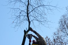 DSCN0114