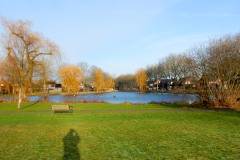DSCN0590